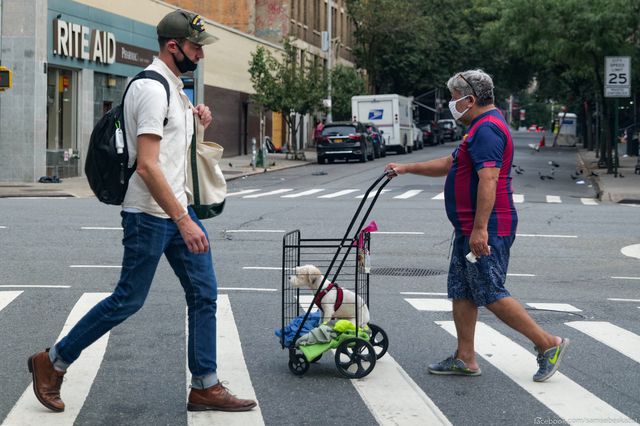A photo of people walking and a dog in a cart
